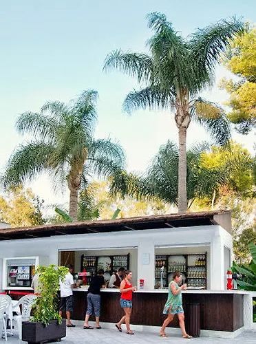 Hotel Aluasun Costa Park 4*